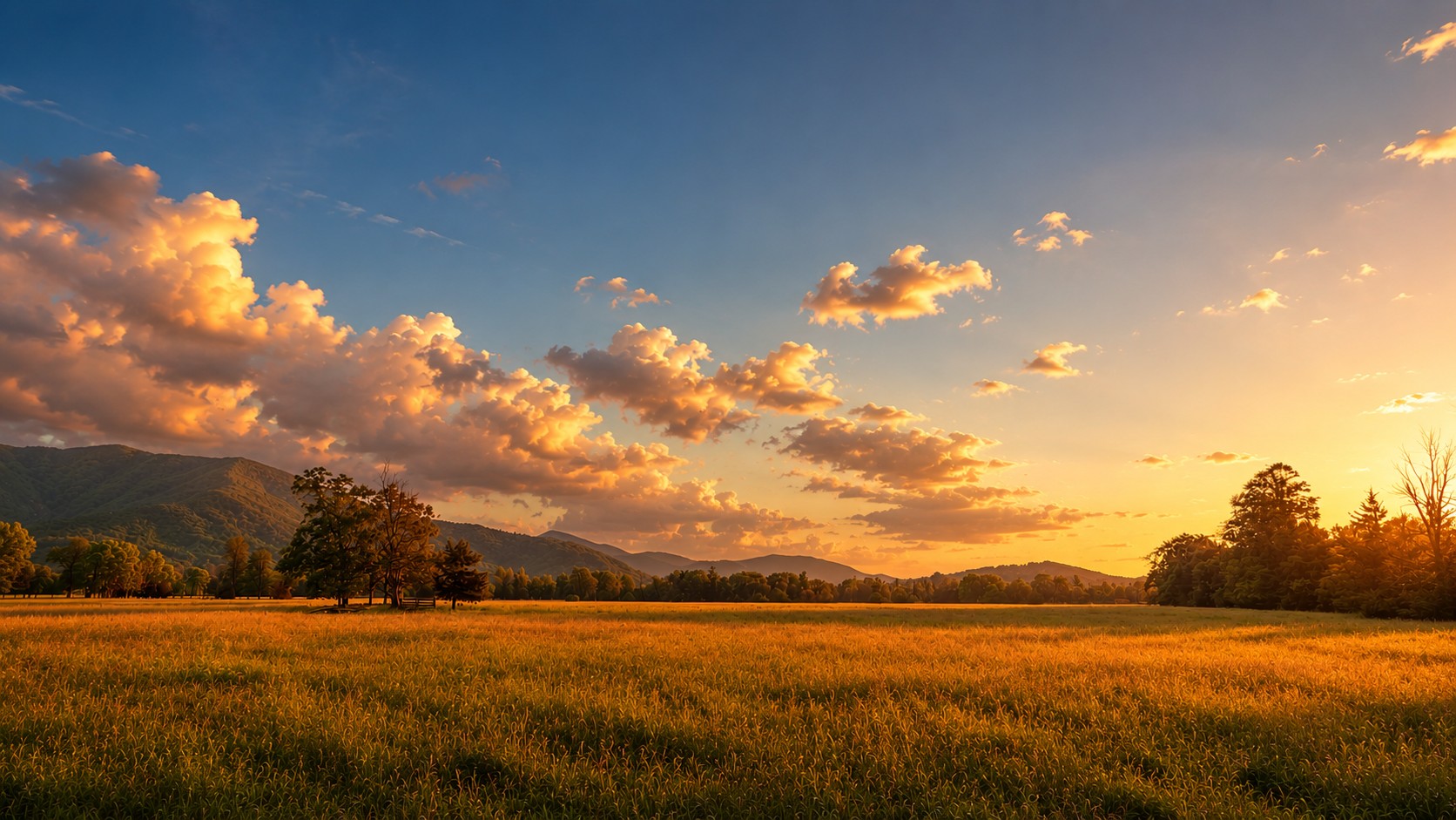 Golden sunset over a mountain meadow